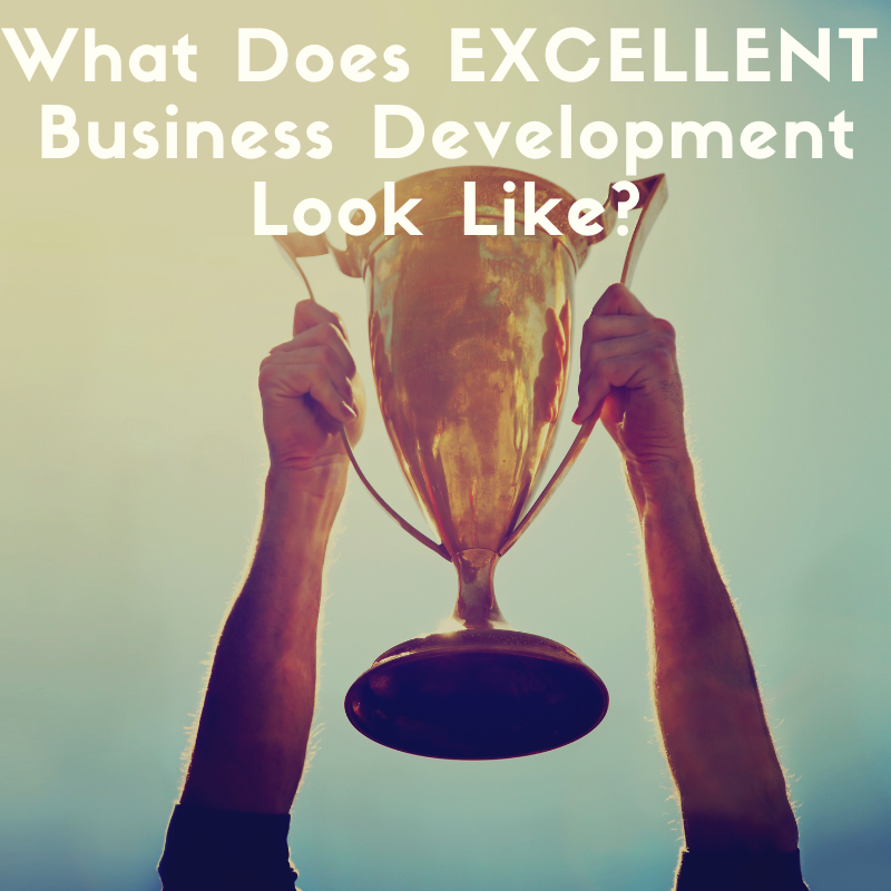 What Does Excellent Business Development Look Like?