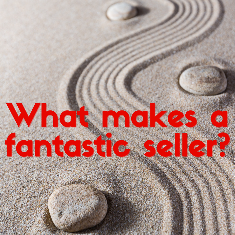 What Makes a Fantastic Seller? Part 1