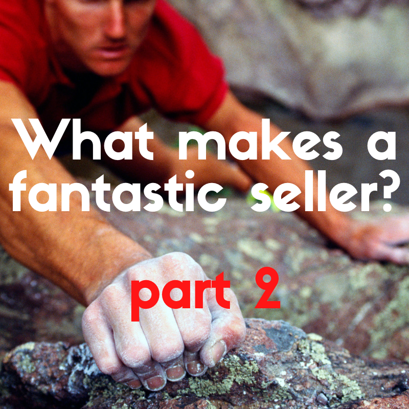 What Makes a Fantastic Seller? Part 2