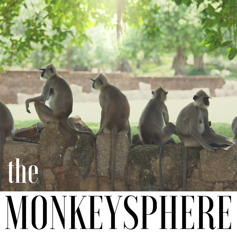 Why is Relationship Selling So Effective? Look Inside The “Monkeysphere”