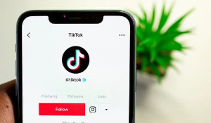 Content is King: Using TikTok for Your Business